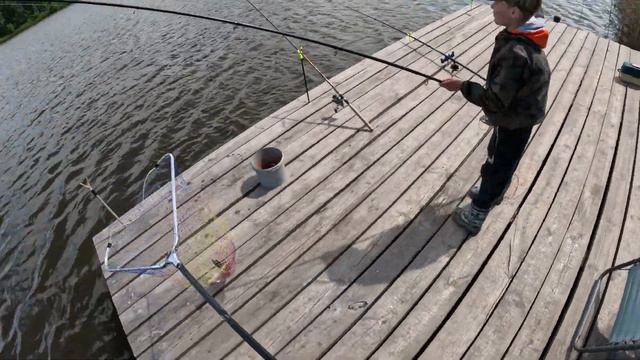 Хотели поймать карпа а поймали настроение, карася и красные лица. смотреть онлайн