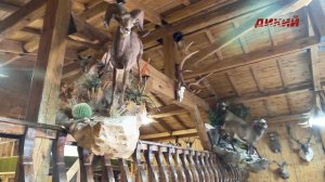 Трофейный Дом Эдуарда Бендерского. Часть 2.