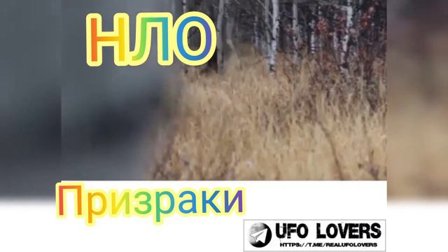 Пришельцы кадры 2021,НЛО 2021 реальные кадры,НЛО Без монтажа ,НЛО в России,НЛО,НЛО Реальные сьемки