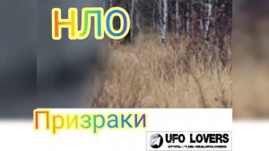 Пришельцы кадры 2021,НЛО 2021 реальные кадры,НЛО Без монтажа ,НЛО в России,НЛО,НЛО Реальные сьемки
