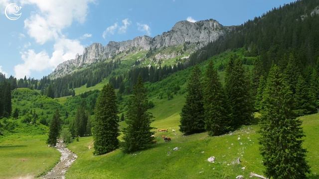 Максимальное снятие стресса — успокаивающая музыка для релаксации, медитации и снятия тревоги. смотреть онлайн