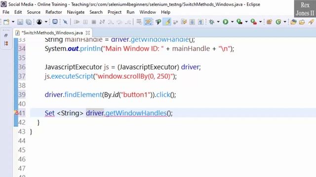 ✔ Switch Windows via Selenium Switch Methods | (Video 71)