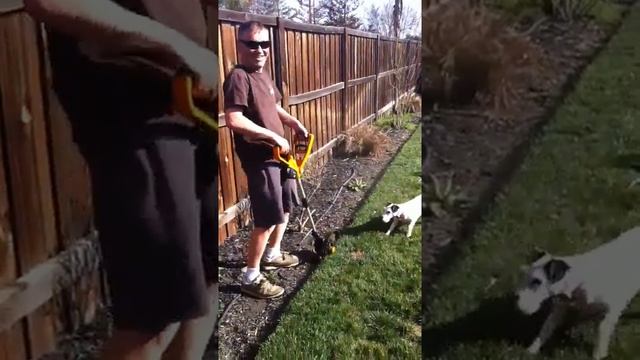 Worx 24 Volt Trimmer/Edger in Action