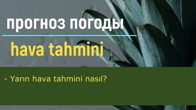 5 Нужные слова и фразы на турецком языке. Как будет по-турецки..... Турецкий язык.