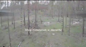 Работа ВС РФ FPV дронами в Кременском лесу/Work of the FPV drones in Kremennaya forests