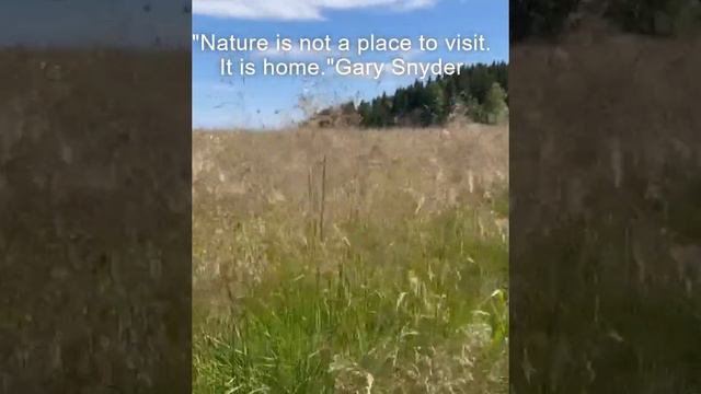 "Nature is not a place to visit. It is home."Gary Snyder