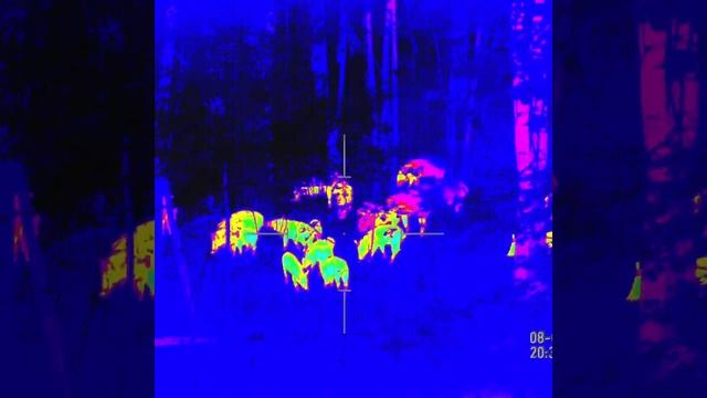 ATN ThOR-HD 640 Rain Color Palette смотреть онлайн