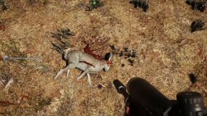 FAR CRY 5 где найти зайца