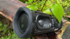 JBL FLIP 6 | EXTREME BASS TEST