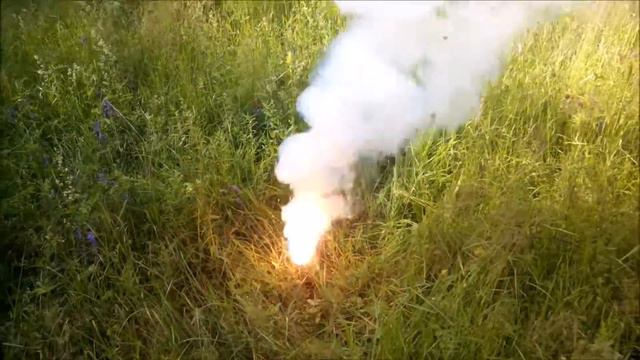 Утилизация пороха