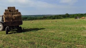 сено заготовка 2021