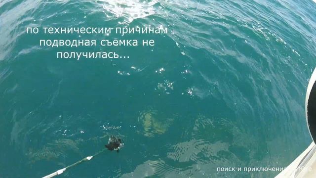 Охота на акулу и морскую лисицу в Черном море!