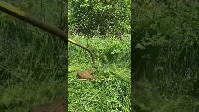 Масло Vitex для садовой техники! смотреть онлайн