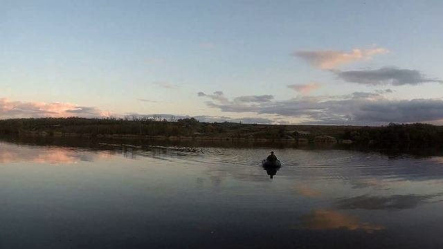 пруд Шевченково, толстолобик и судак