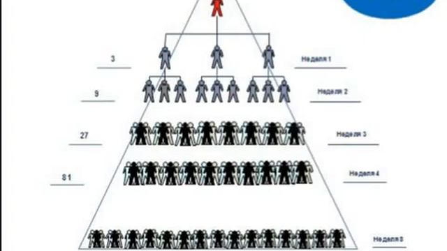 Сколько можно заработать в компании SkinnyBodyCare смотреть онлайн