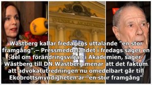 Wästberg: Jag och Stridsberg skärpte formuleringarna