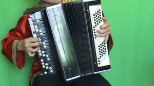 Шумел камыш Баян Алексеев Егор