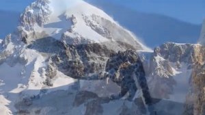 Флора и фауна Северной Осетии