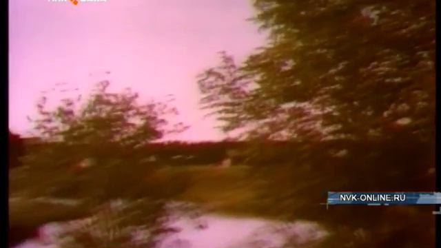 Человек счастлив, если он нашел свою любимую профессию смотреть онлайн