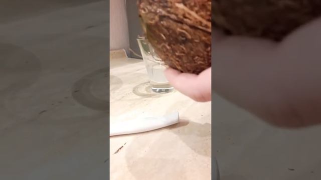 как открыть кокос быстро смотреть онлайн