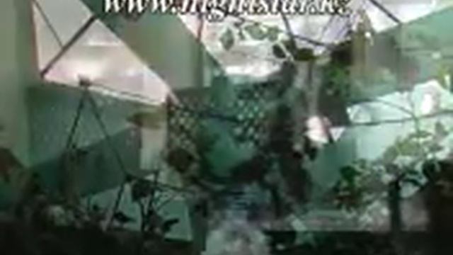 Cafe Night-Star смотреть онлайн