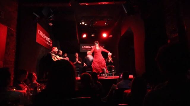 MADRID TRAVEL VLOG | Tapas, Flamenco Show, Oldest Restaurant In The World, Royal Place, El Retiro смотреть онлайн