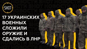 "Поступили по-человечески" — ещё 17 украинских военных добровольно сложили оружие в ЛНР