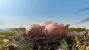 Толстые животные