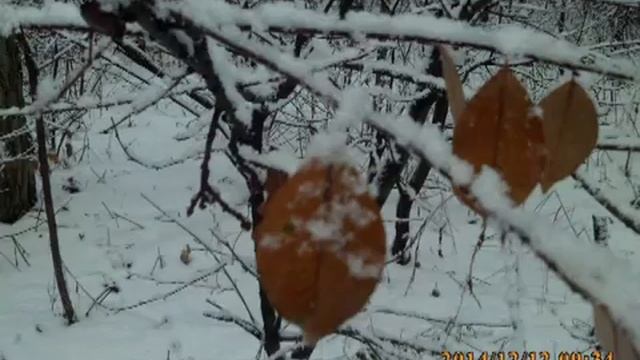 После небольшого снегопада смотреть онлайн