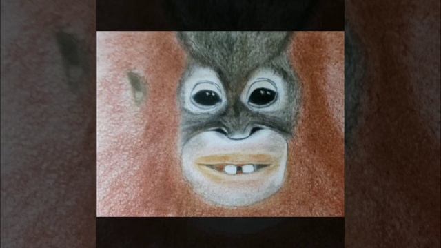 For children. How to draw a monkey.Orangutang/Для детей.Как нарисовать обезьяну.Орангутанг смотреть онлайн