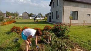 Не довольна урожаем.Псковская жизнь