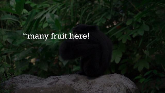 how long is a minecraft day? смотреть онлайн