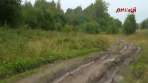 На медведя на овсах. Охота на Русском Севере.