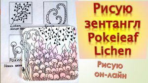 Рисую зентангл Pokeieaf Lichen