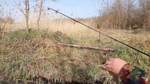 Ловля карася на поплавочную удочку. Открытие сезона. Село Красносельское, Динской район.