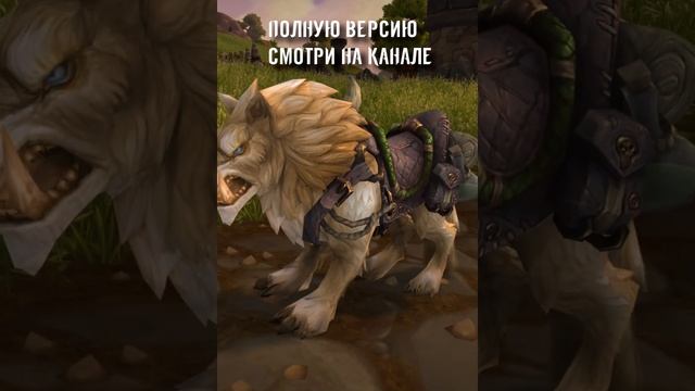 НОСТАЛЬГИЯ ПО МАУНТАМ WARLORDS OF DRAENOR | КАК ПОЛУЧАЛИ МАУНТОВ В WORLD OF WARCRAFT