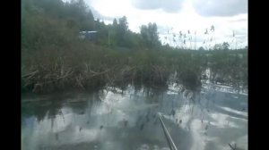 Квадратка на МЖК