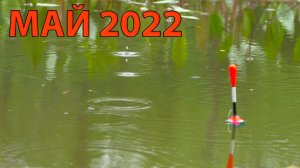 РЫБАЛКА НА ПОПЛАВОК на деревенском пруду маховой удочкой.