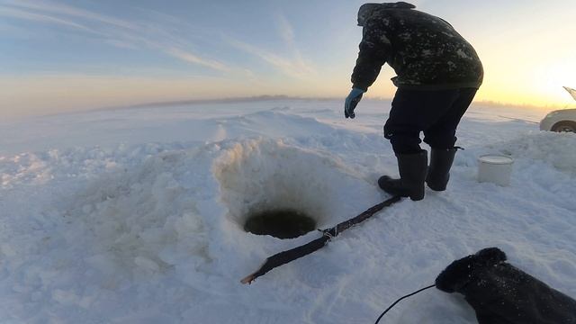 #ловляналима#налим#зимняярыбалка Ловля налима зимой! Река Вилюй! Якутия! FULL HD!18/12/21 смотреть онлайн