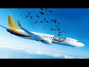 Готовы к взлёту? Шокирующие факты о самолётах, которые вам следует знать сегодня