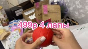 VLOG:ПОКУПКИ ДЛЯ СОБАК НА 10тыс| ЧЕМ Я КОРМЛЮ КОРГИ,Шпица и Йорков? Игрушки,пелёнки !❤️