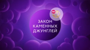 Закон каменных джунглей на ТНТ4 с 30 мая в 20:00