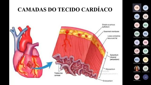 odontonervosocardioresp-terça feira - vespertino 26/10/2021 смотреть онлайн