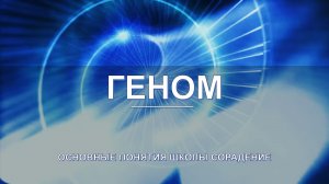 Геном - основные понятия школы Сорадение. Развитие в Соразмерности.