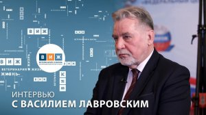 Интервью с Василием Лавровским