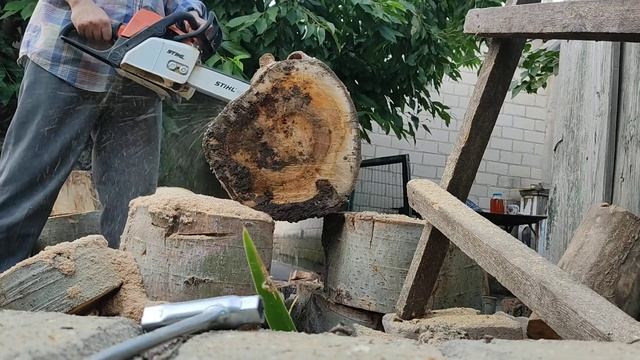 Stihl ms170 тест, серебристый тополь смотреть онлайн