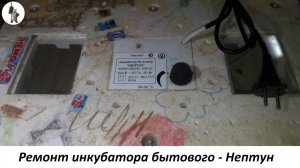 Ремонт инкубатора бытового   Нептун.