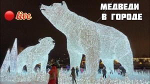 Нашествие белых медведей в Москву в сильный мороз.Люди в восторге