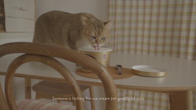 Slow down as summer is coming ☀️ Finding joyful beginnings to start summer смотреть онлайн