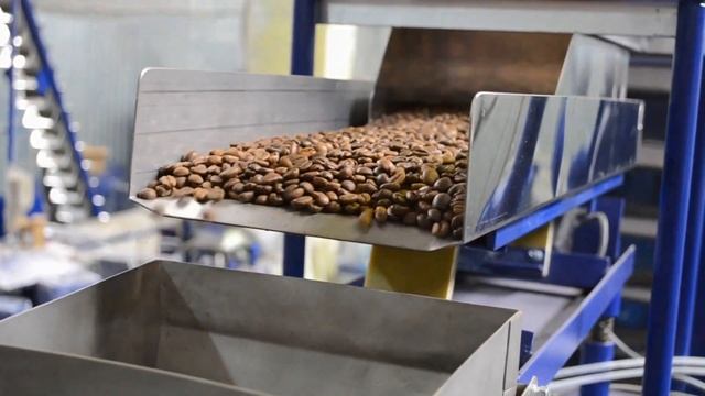 Оборудование для фасовки и упаковки зернового кофе АF-35 V1 смотреть онлайн